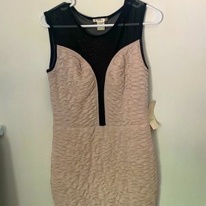 Body con dress